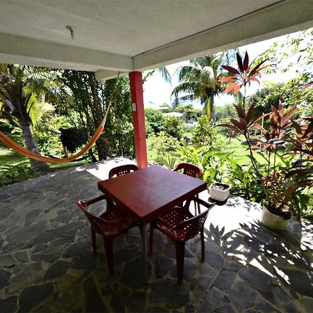 Windy View Guest House Archibolds Exteriér fotografie